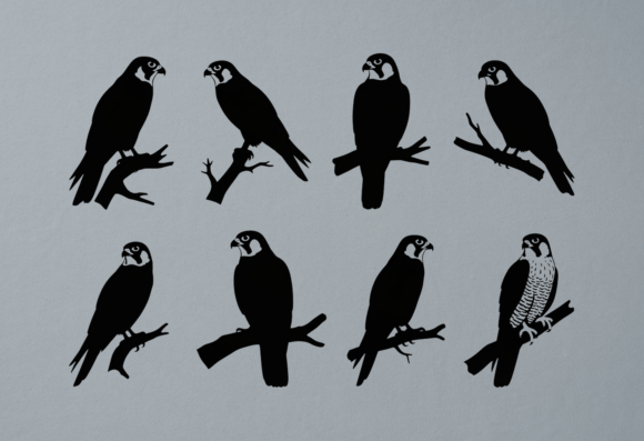 Peregrine Falcon Silhouette SVG Clipart for Graphics and Crafts
