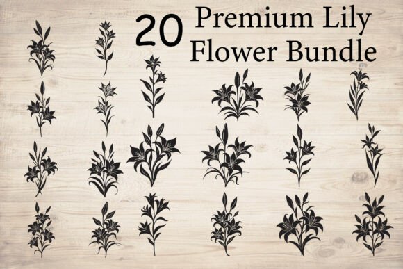 Premium Lily Flower Bundle Graphics for Crafts